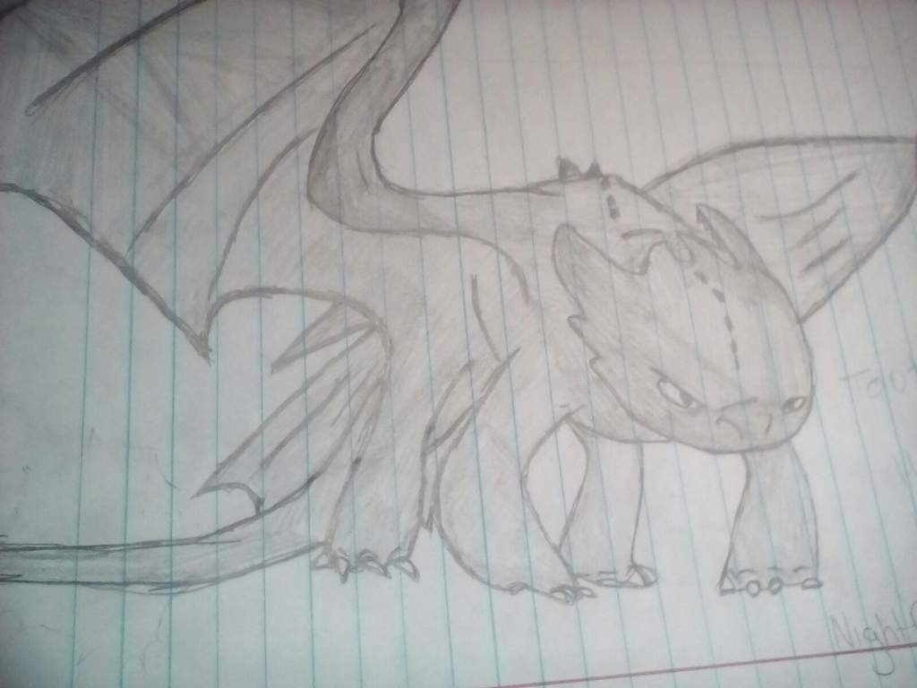 1024x768 other toothless drawing - Toothless Drawing