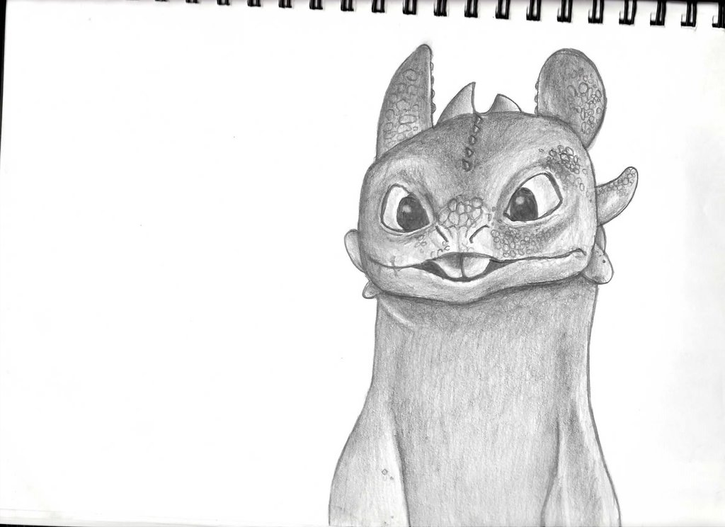 1024x744 toothless drawing amazing drawing skill - Toothless Drawing