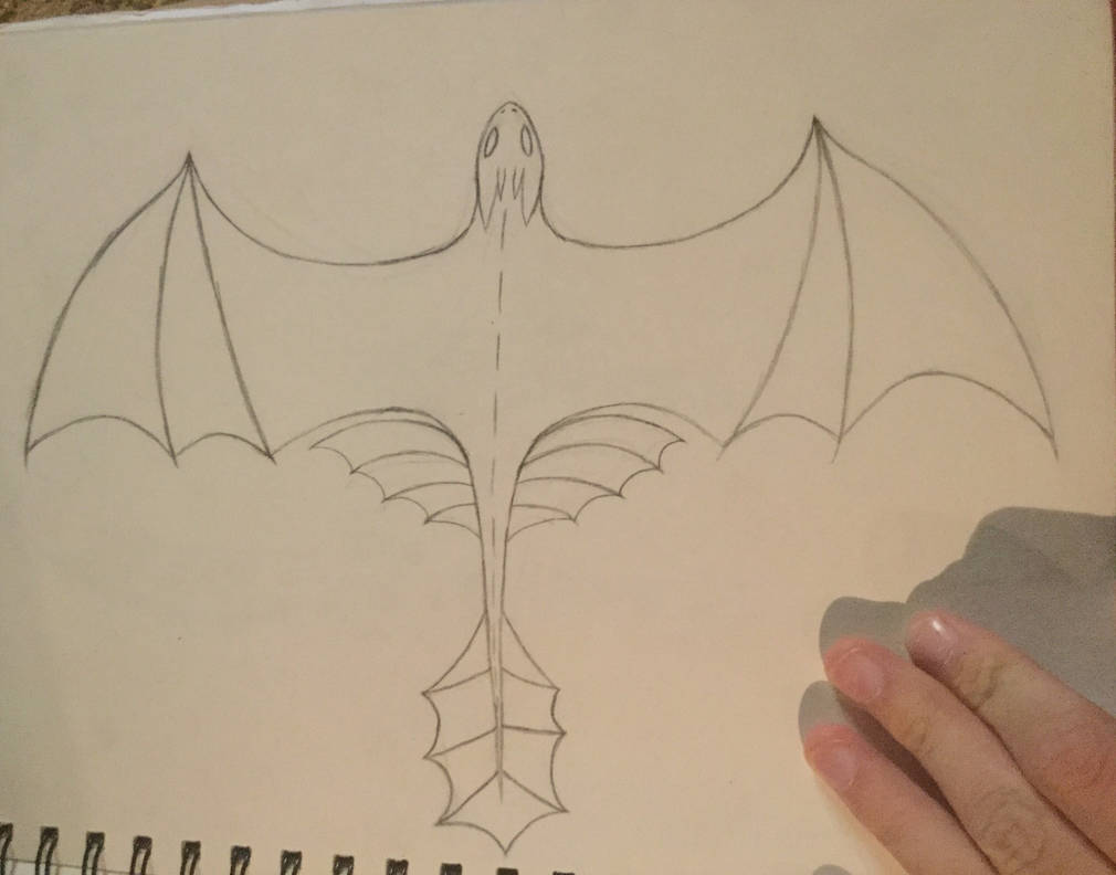 1010x792 toothless drawing - Toothless Drawing