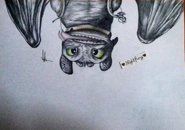 720x507 toothless drawing h t t y d amino - Toothless Drawing