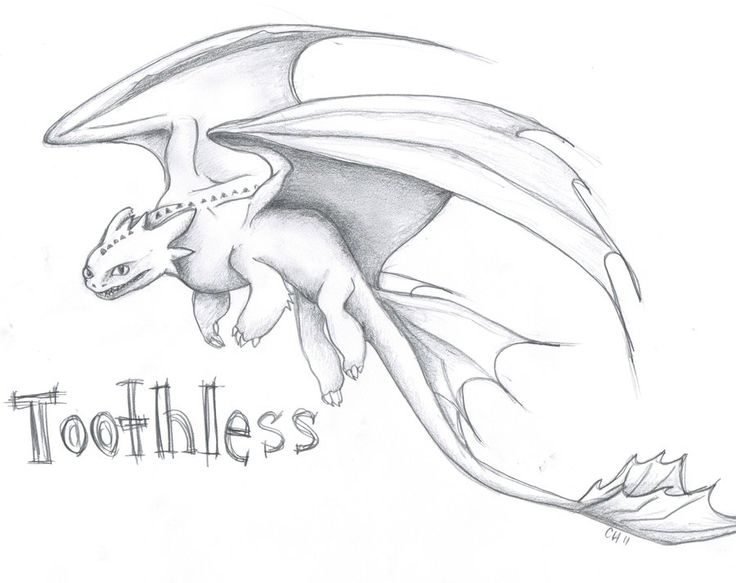 736x583 toothless drawing badass for free download - Toothless Drawing