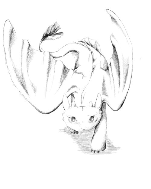 500x625 collection of free toothless drawing sketch download on ui ex - Toothless Drawing