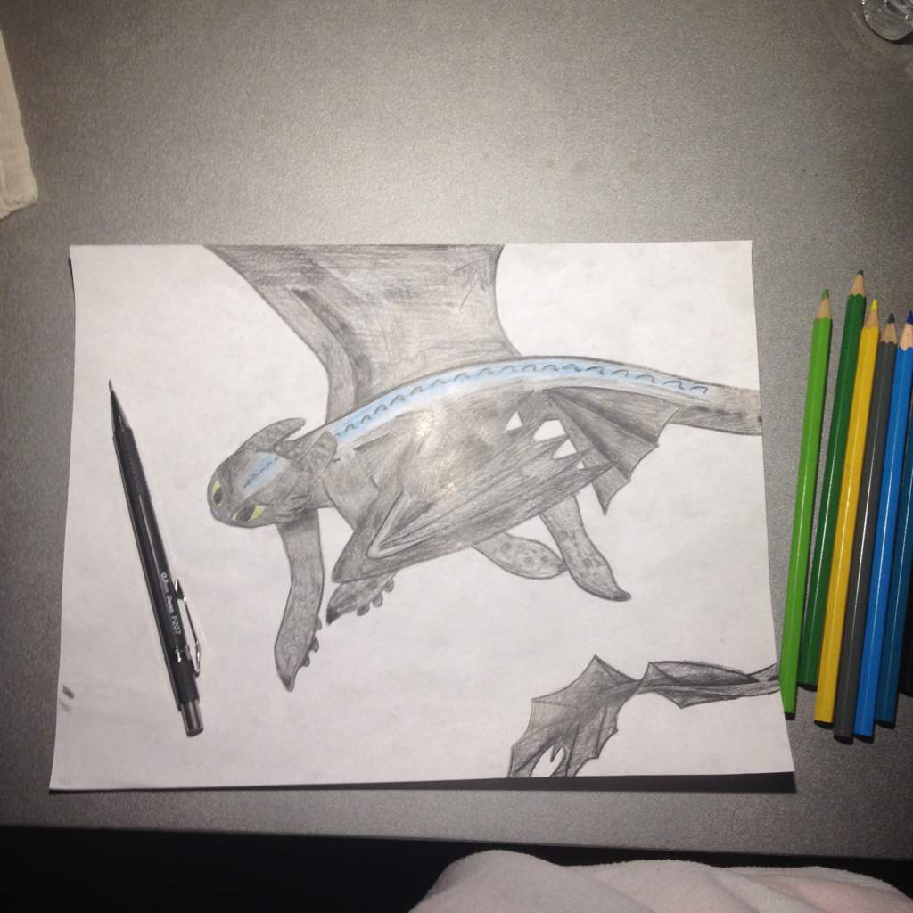 1024x1024 i drew alpha toothless flying h t t y d amino - Toothless Flying Drawing