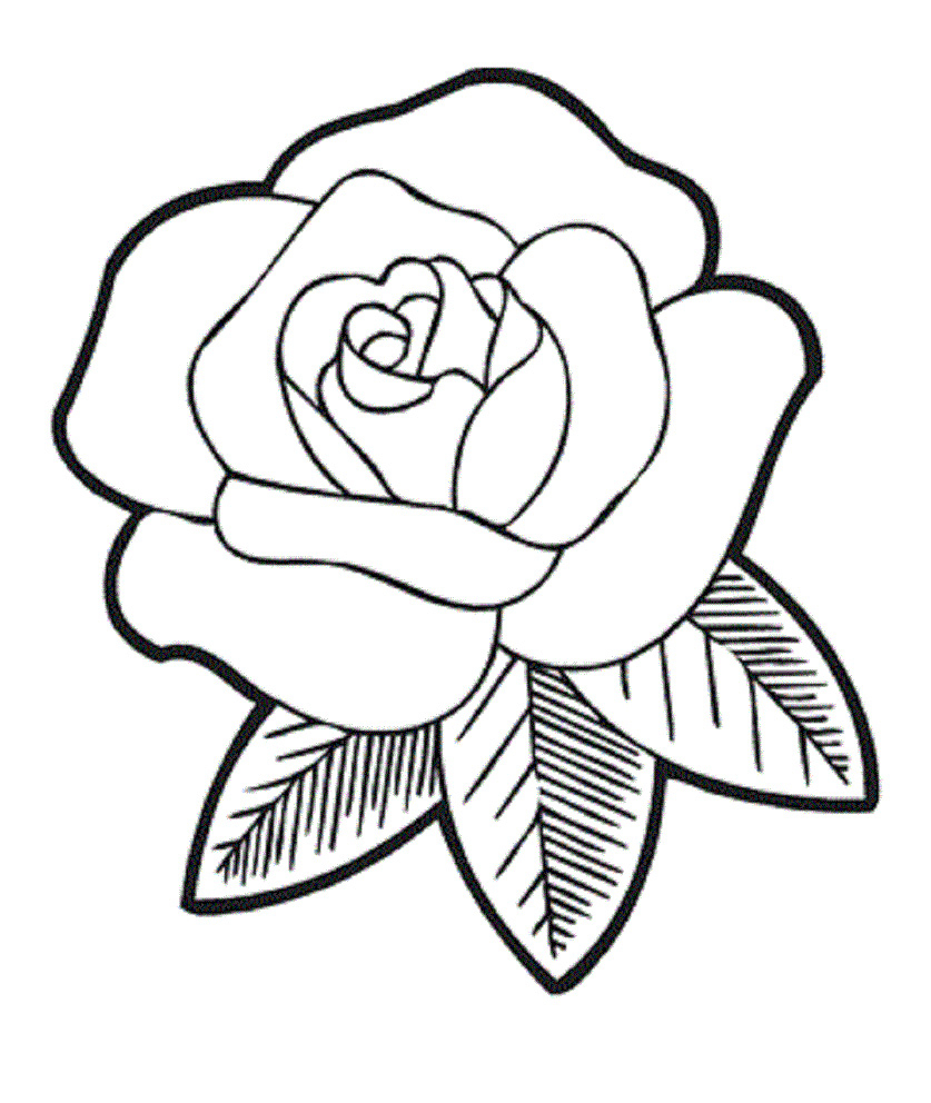 837x992 Rose Drawing Top For Free Download - Top Drawing
