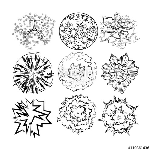 500x500 Set Image Of Top View Plants For Drawing In Landscape Design - Top View Drawing