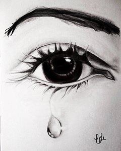 240x300 torn drawings - Torn Drawing