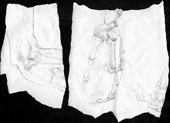 585x422 torn drawings - Torn Drawing