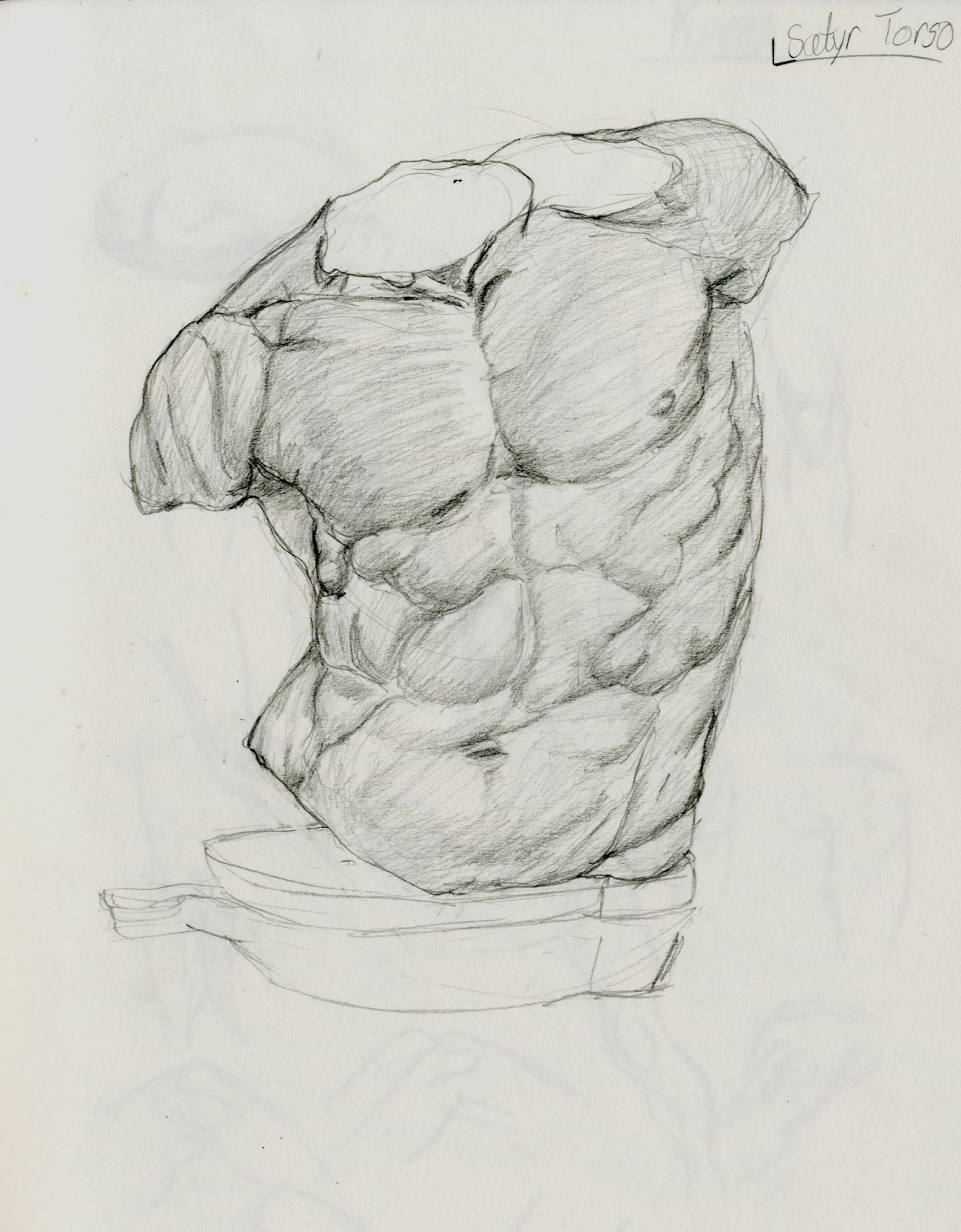 1248x1600 Drawing For Animation - Torso Anatomy Drawing