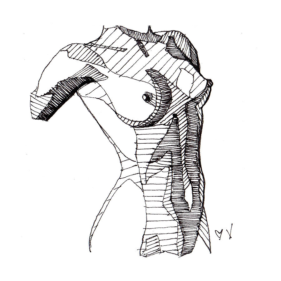 900x900 female torso drawing - Torso Drawing