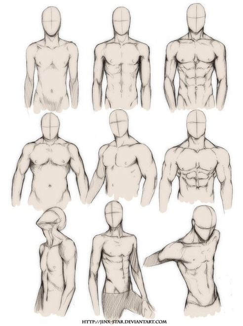 492x660 male torso - Torso Drawing