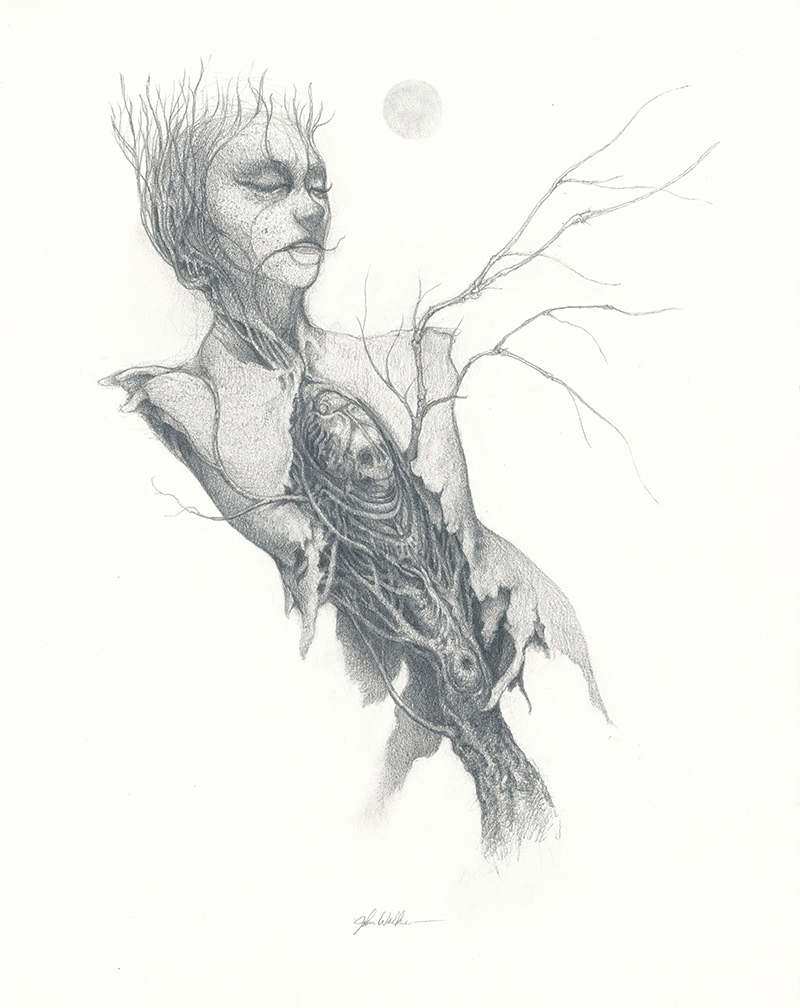 800x1008 torso drawing - Torso Drawing