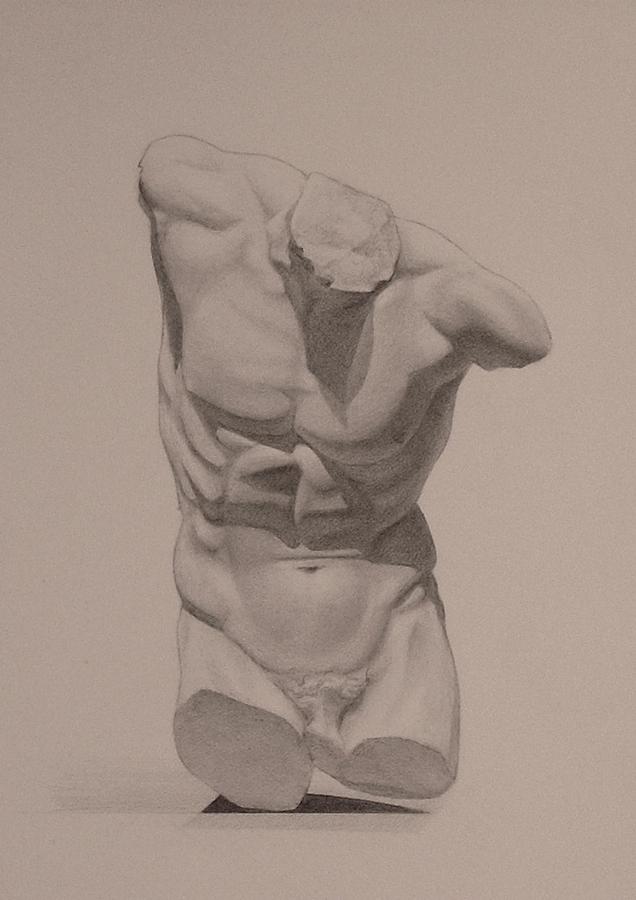 636x900 torso drawing - Torso Drawing