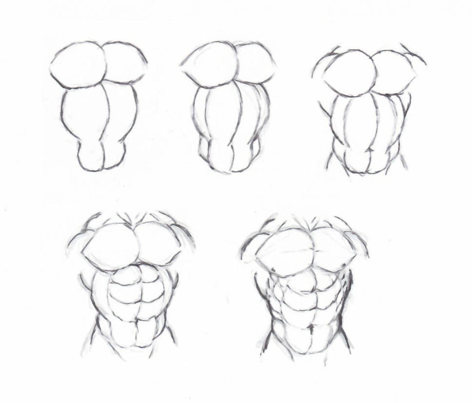 968x825 how to draw a torso - Torso Drawing