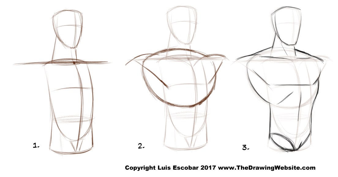 1104x579 bruce timm male torso the drawing website - Torso Drawing