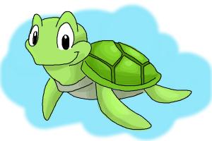 300x200 how to draw a tortoise - Tortoise Drawing