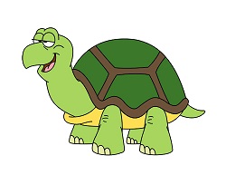 250x193 how to draw a turtle tortoise - Tortoise Drawing