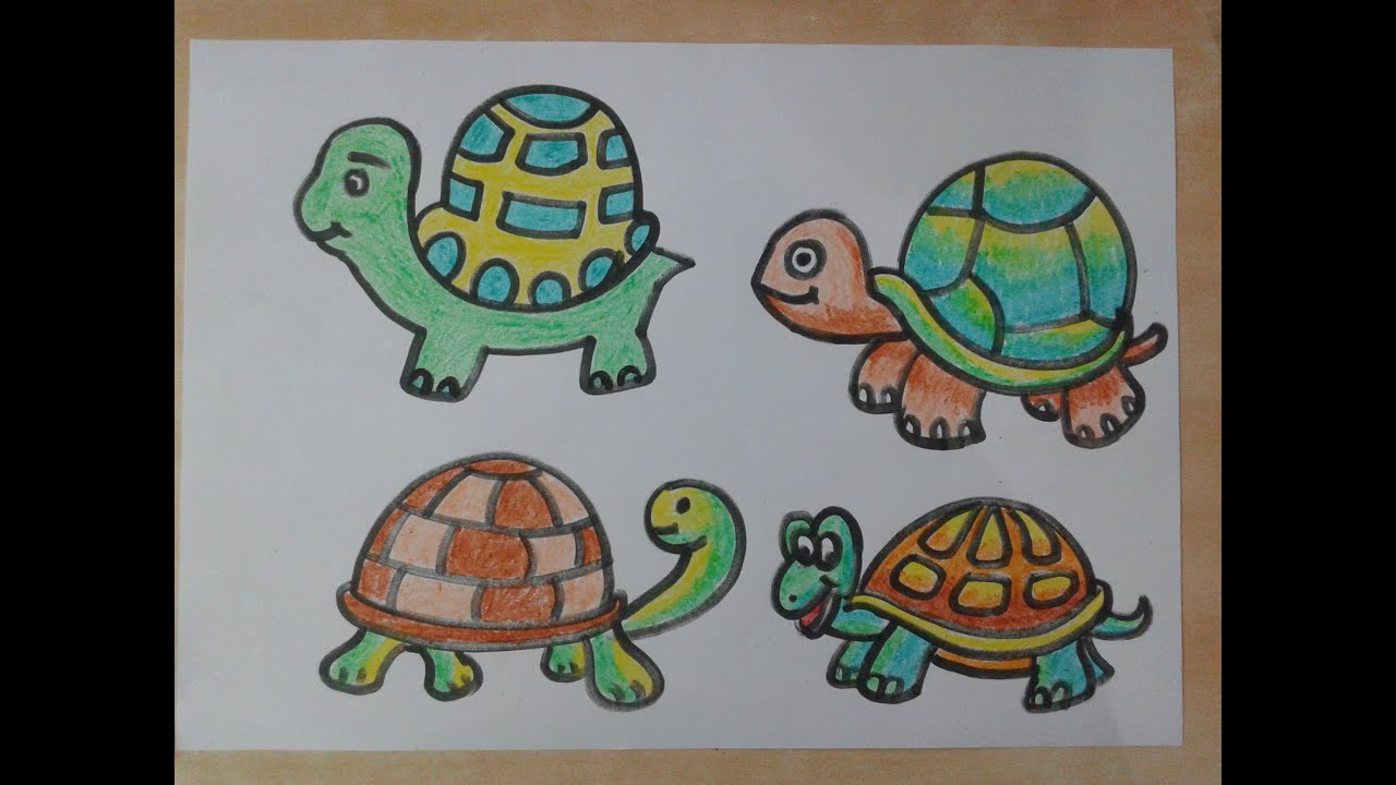 1280x720 how to draw tortoise - Tortoise Drawing