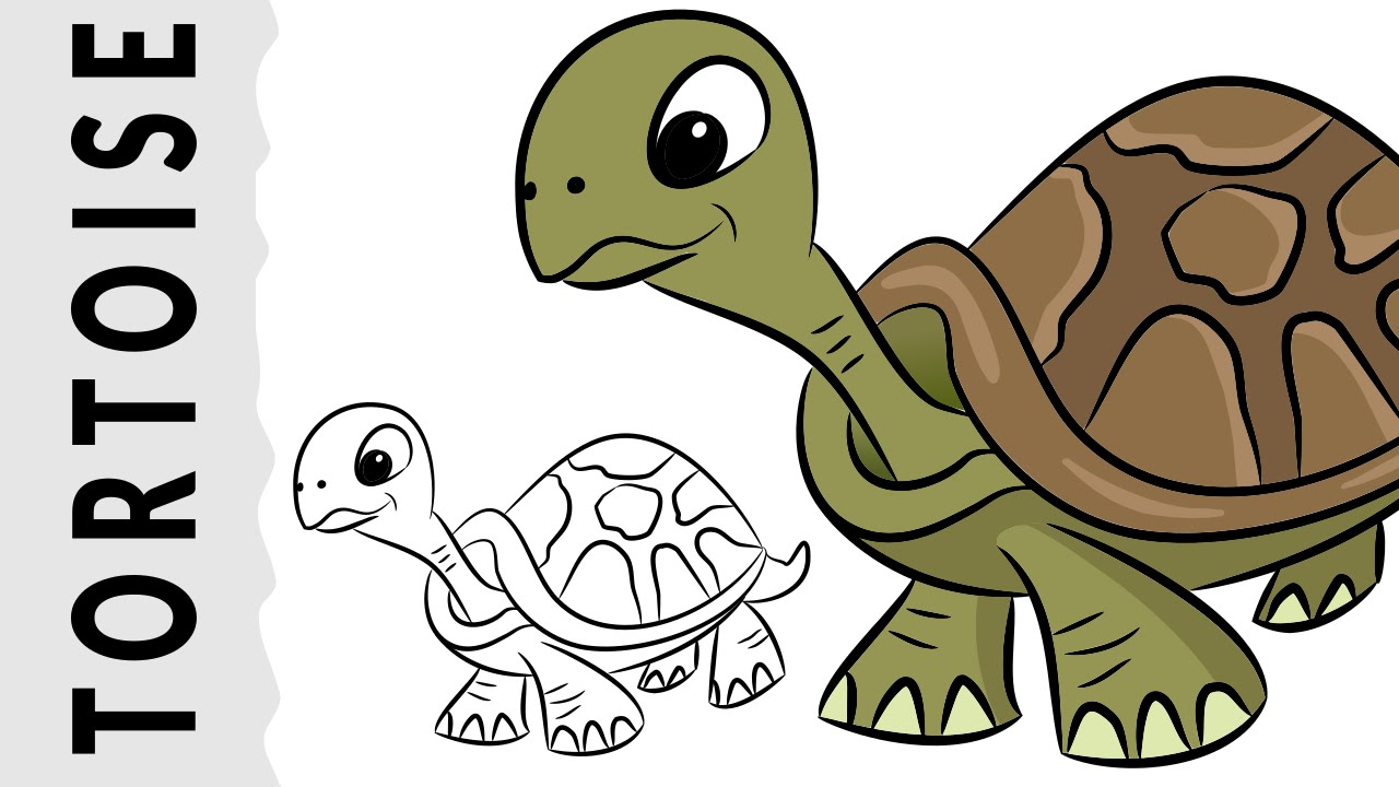 1280x720 how to draw a tortoise wie zeichnet man eine - Tortoise Drawing