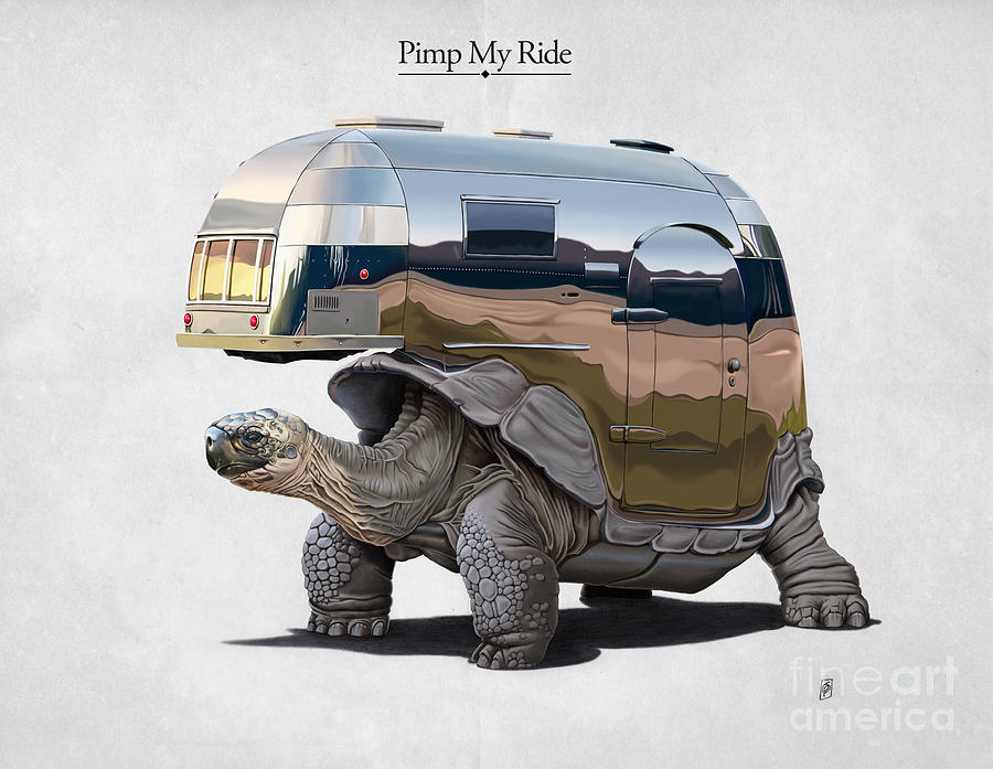 900x697 pimp my ride drawing - Tortoise Drawing