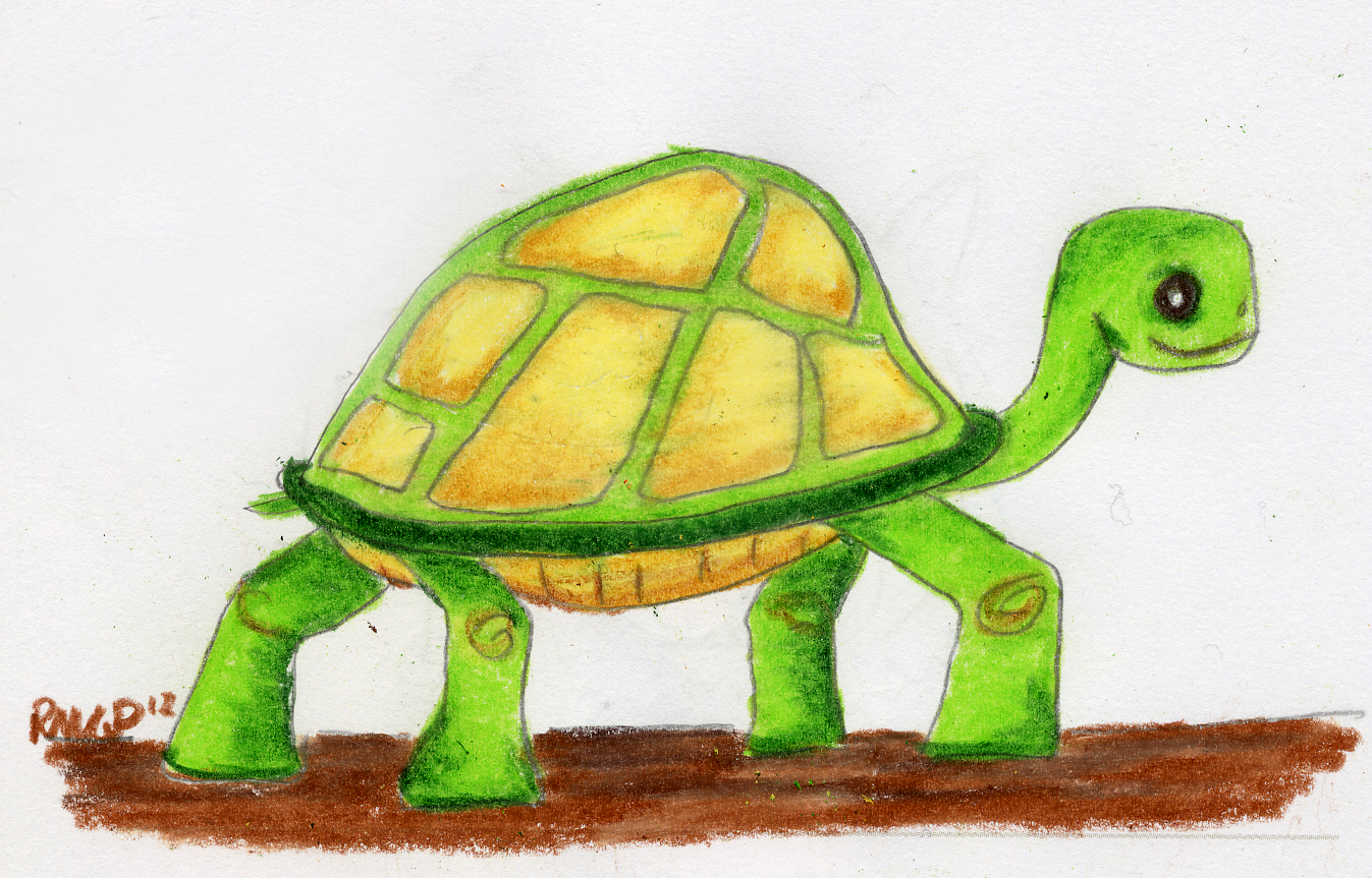 1347x863 tortoise drawing art of my mind - Tortoise Drawing