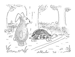 300x226 tortoise shell drawings fine art america - Tortoise Shell Drawing