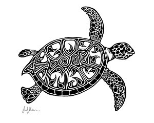 300x240 turtle shell drawings fine art america - Tortoise Shell Drawing