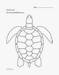 199x253 a to z kids stuff turtles - Tortoise Shell Drawing