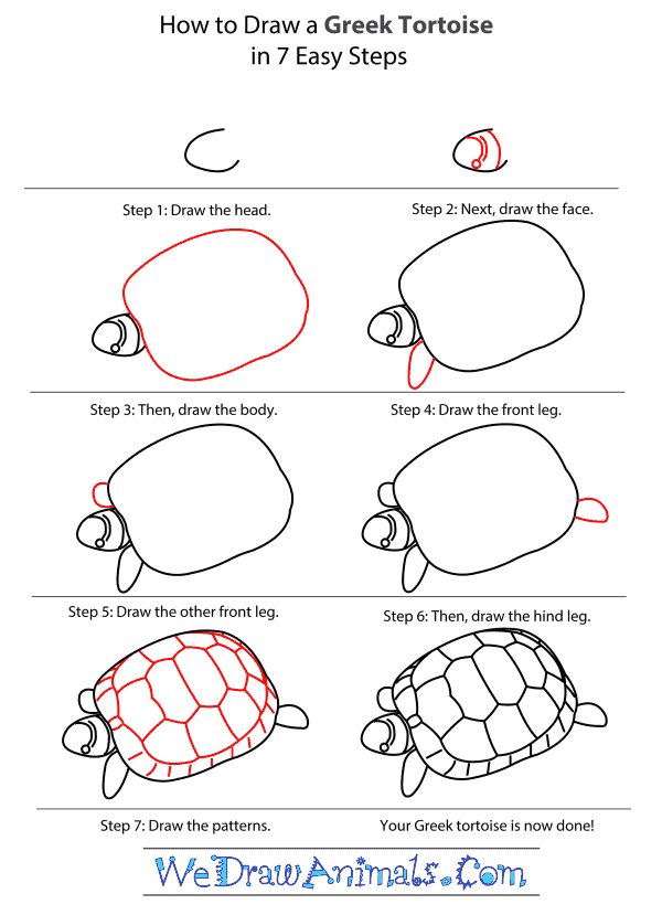 600x829 how to draw a greek tortoise - Tortoise Shell Drawing
