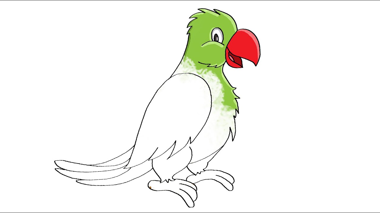1280x720 How To Draw A Parrot And Color - Tota Drawing