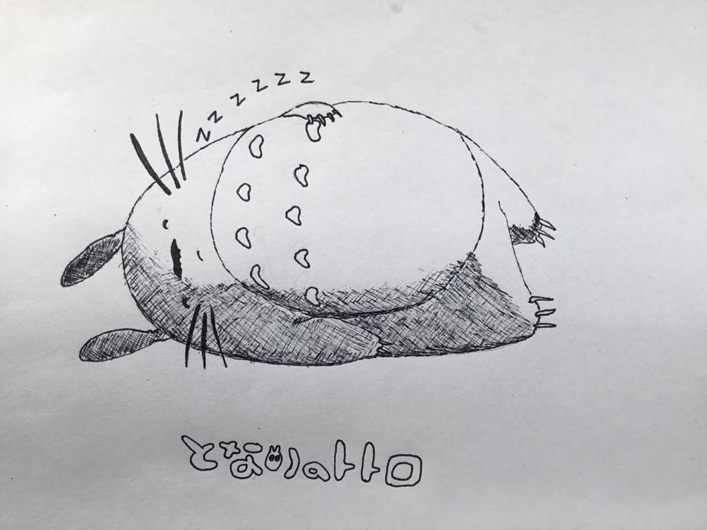 1024x768 totoro drawing! japan amino - Totoro Drawing