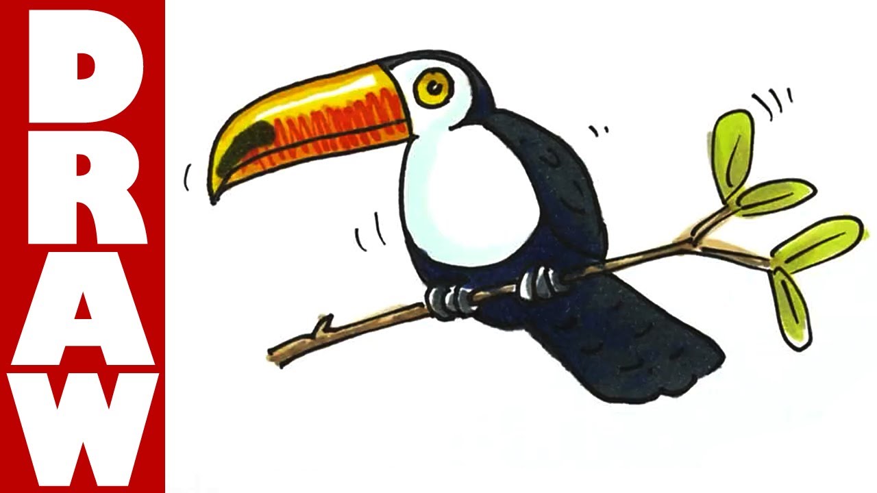 1280x720 How To Draw A Toucan - Toucan Bird Drawing