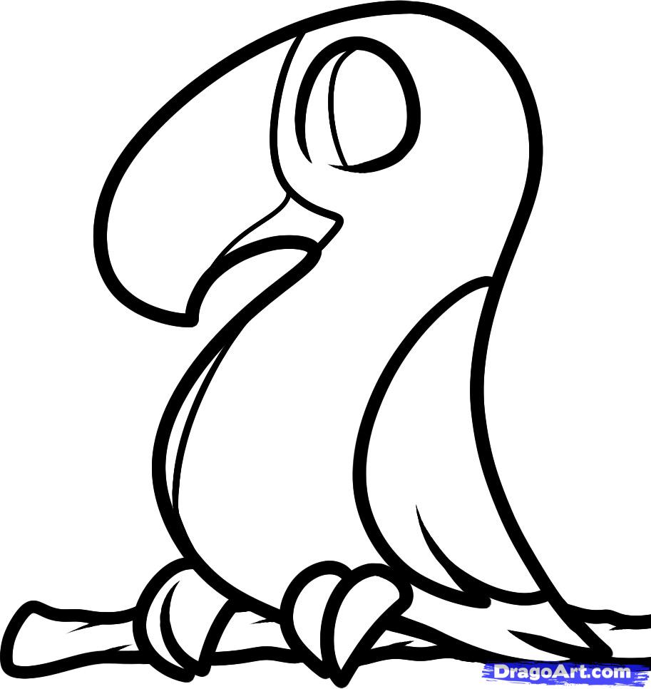 913x966 How To Draw A Toucan For Kids, Step - Toucan Bird Drawing