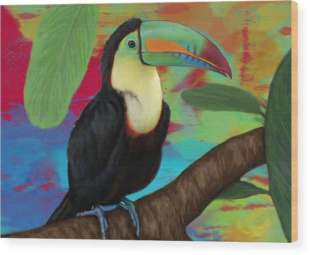 634x521 Rainforest Bird - Toucan Bird Drawing