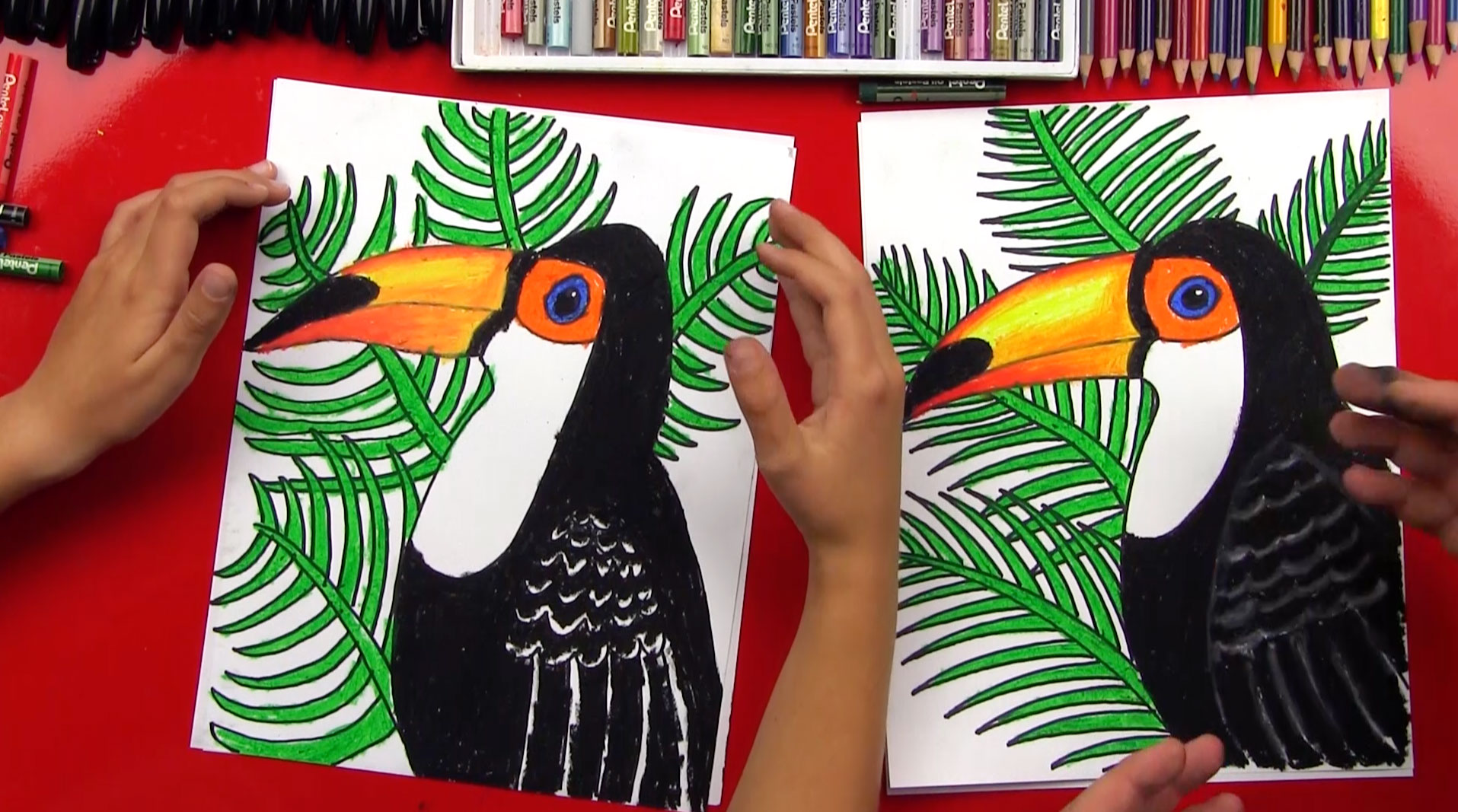 1915x1067 How To Draw A Realistic Toucan - Toucan Bird Drawing