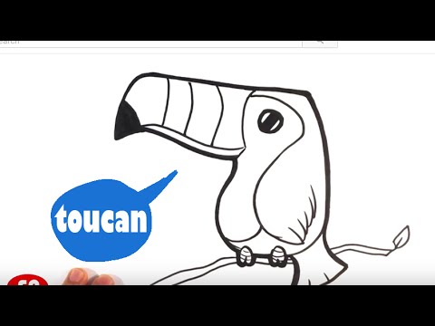 480x360 how to draw a toucan - Toucan Drawing