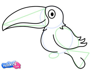 300x228 how to draw how to draw a toucan - Toucan Drawing