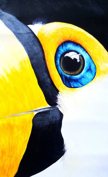 375x616 toco toucan drawing - Toucan Drawing