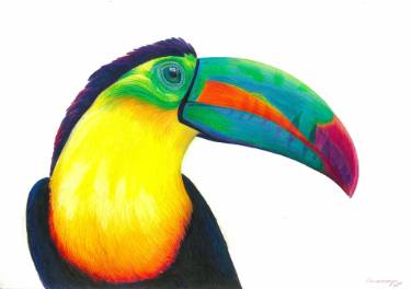 375x264 toucan drawing - Toucan Drawing