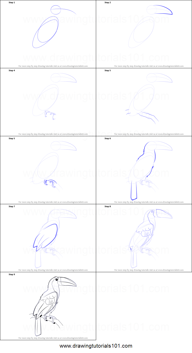 751x1376 how to draw a toucan printable step - Toucan Drawing Step By Step