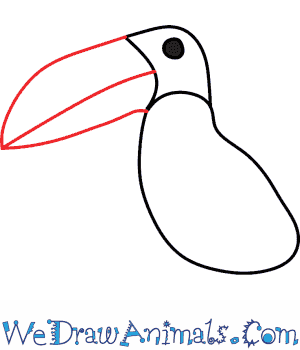300x350 how to draw a toucan - Toucan Drawing Step By Step