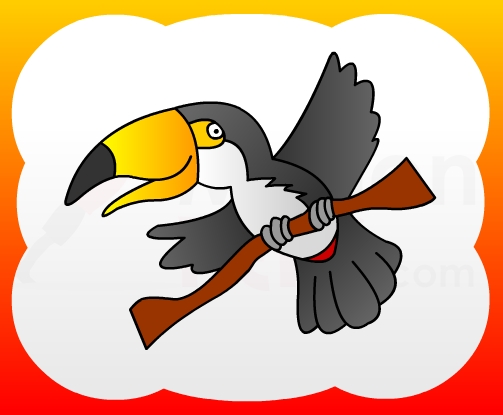 503x415 how to draw flying toucan for kids - Toucan Drawing Step By Step