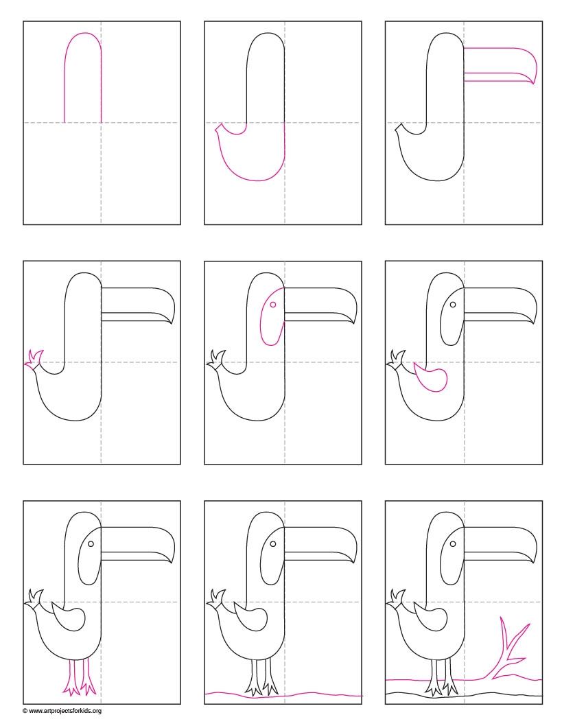 819x1061 toucan drawing art projects for kids - Toucan Drawing Step By Step