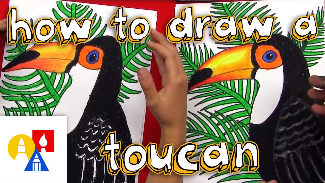 1280x720 how to draw a realistic toucan - Toucan Drawing Step By Step