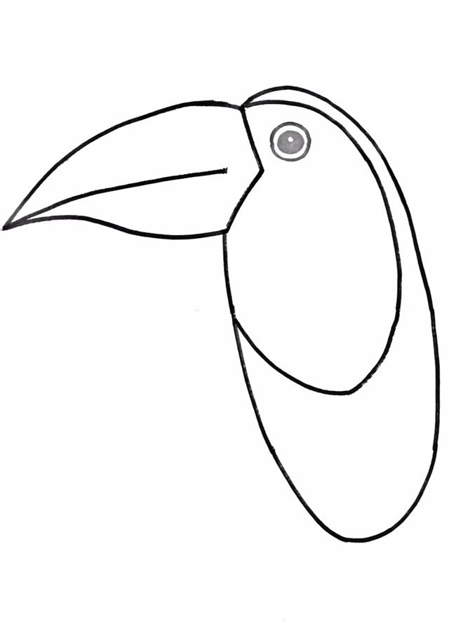 640x906 how to draw a toucan - Toucan Drawing Step By Step