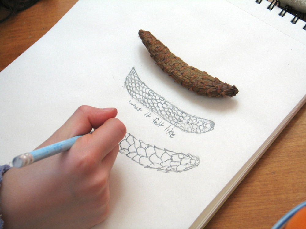 1000x750 nature school project nature touch drawing - Touch Drawing