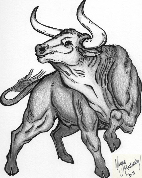 574x720 Tough Bull - Tough Drawings