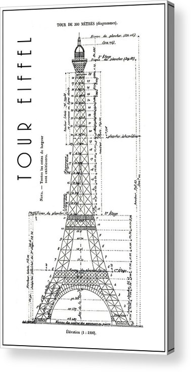 378x734 Eiffel Tower Engineering Drawing Acrylic Print - Tour Eiffel Drawing
