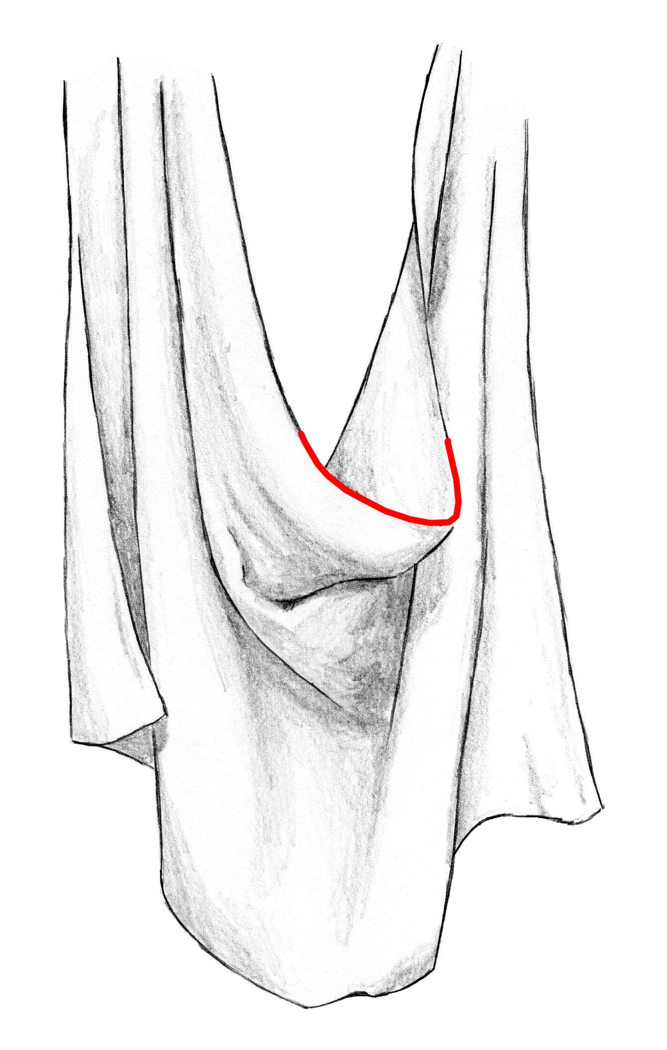 1342x2112 Here Is How To Draw Folds On A Towel That Is Hung From Two Points - Towel Drawing