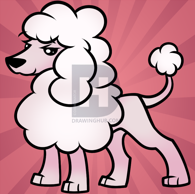 798x797 How To Draw A Toy Poodle, Step - Toy Poodle Drawing