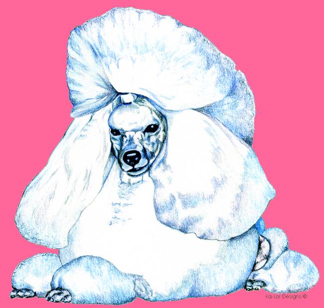650x618 Pink Toy Poodle Pop Art - Toy Poodle Drawing